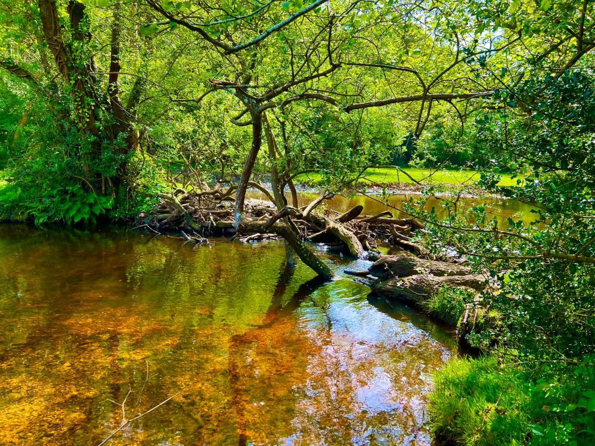 Jungle Lodge Лимингтон Экстерьер фото